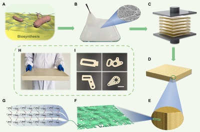 中国科大新型纳米纤维素高性能仿生结构材料研制获进展